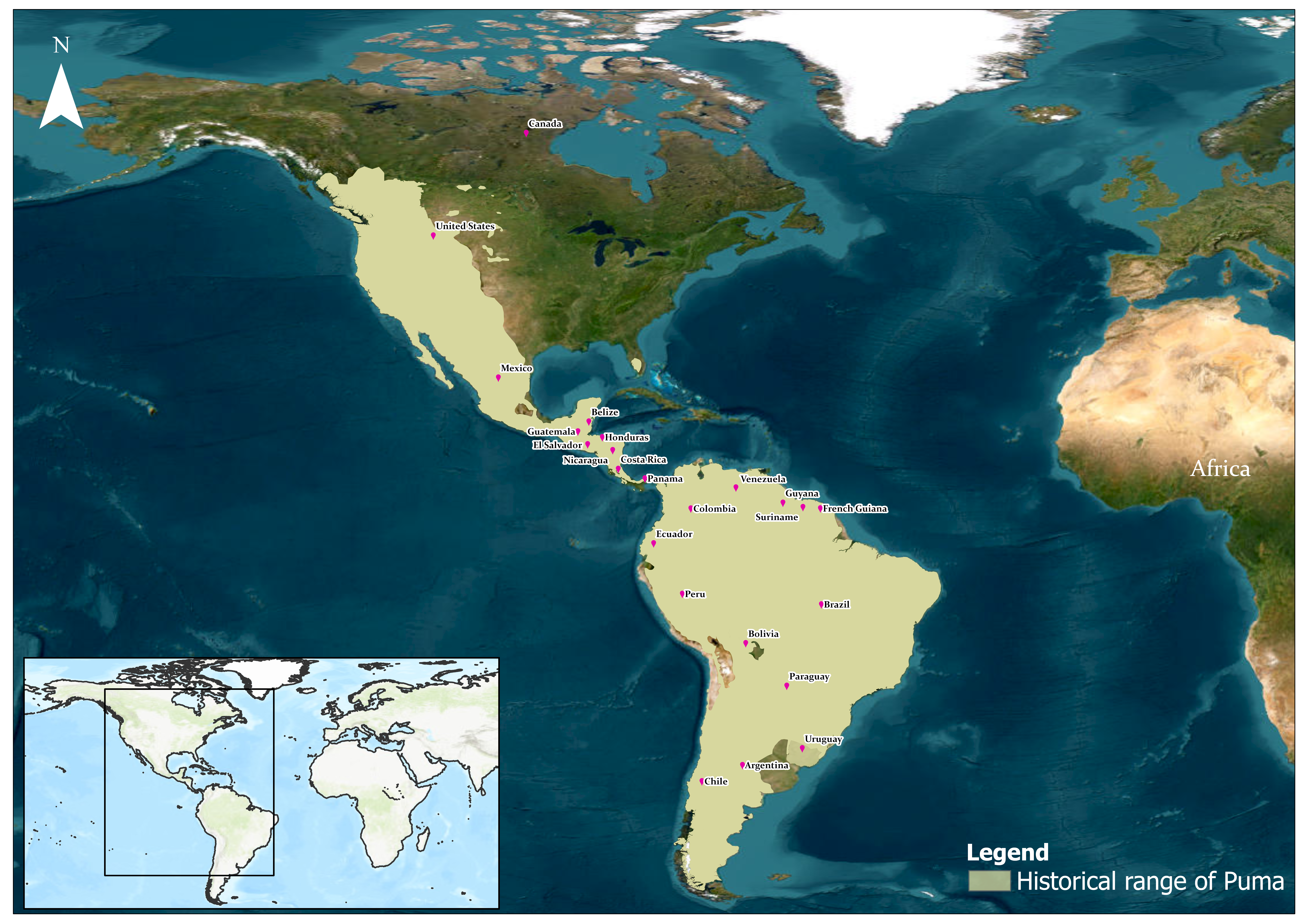 Historical Distribution of Pumas